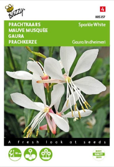White Gaura Sparkle White (Gaura Lindheimeri) 15 seeds HT